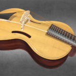 Arpeggione musical instrument. Bowed guitar. Fretted cello.